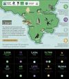 Linking the Lizard Partnership Infographic